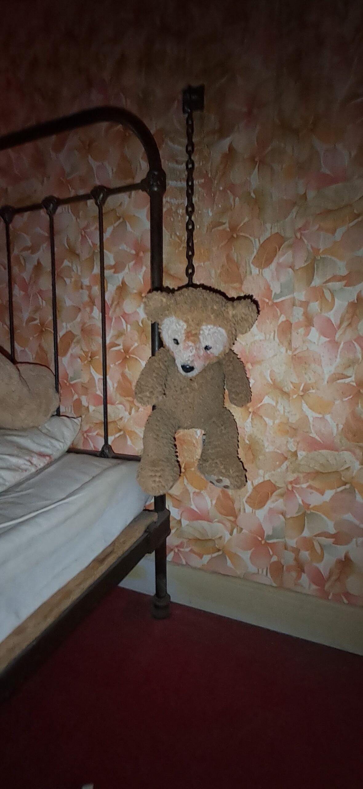 le cas wilson escape game horreur 200 nounours pendu nounours pendu horreur le cas wilson